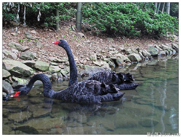 游南山竹海路线,游南山竹海心情说说