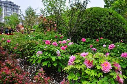 常州春游经典地点,常州骑行绿道