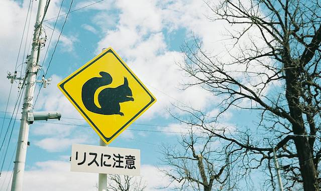 有多少人心情不好,为什么有些人心情不好却很重要