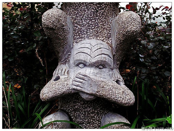 游南山竹海路线,游南山竹海心情说说