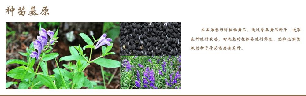 自投500万他为120家基地搭中草药电商平台一物一码全程溯源