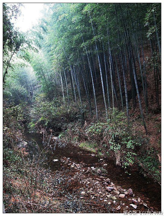 游南山竹海路线,游南山竹海心情说说