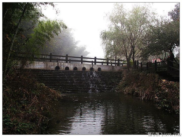 游南山竹海路线,游南山竹海心情说说