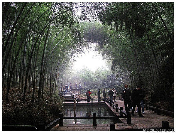 游南山竹海路线,游南山竹海心情说说