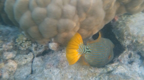 成都到马尔代夫旅游团七日游价格,马尔代夫成都出发旅游