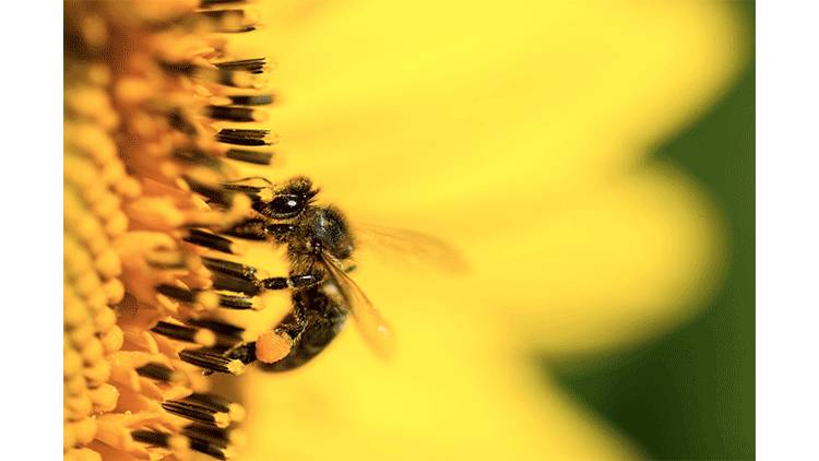 尝一口便是春天的味道,尝一口歌曲