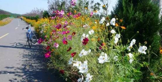 常州春游经典地点,常州骑行绿道