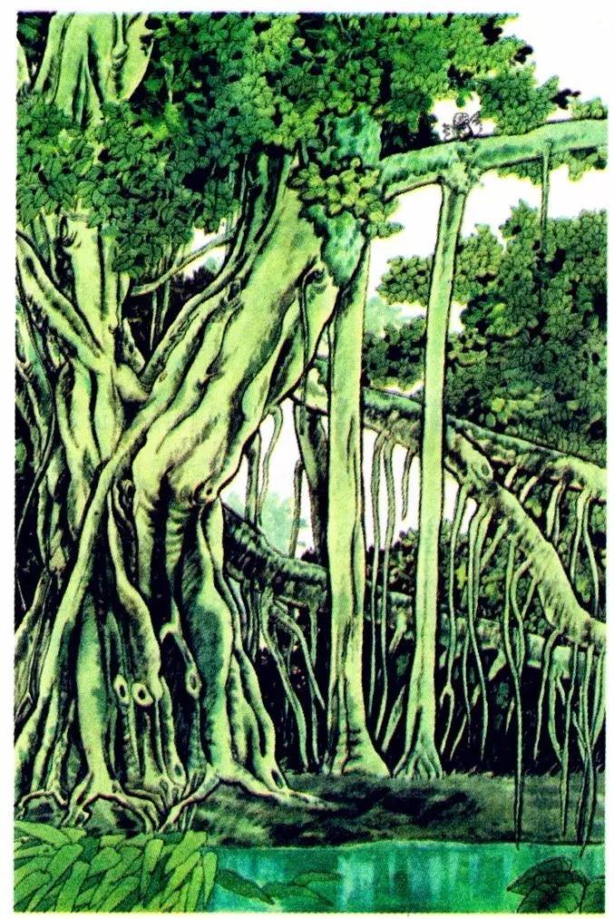 巴金散文鸟的天堂诵读,巴金短篇散文经典鸟的天堂