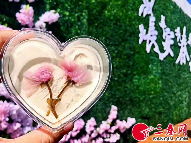 真爱再跨界推出“长安春色”茶