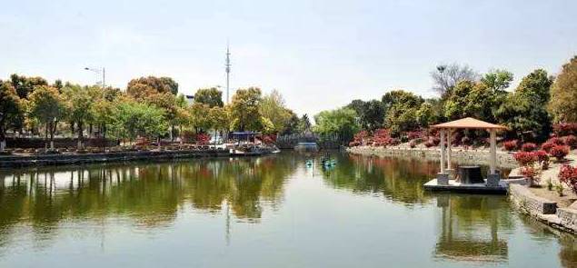 常州春游经典地点,常州骑行绿道