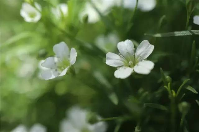跟着鹿晗去兜风,跟着鹿晗去北京
