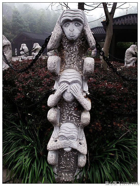 游南山竹海路线,游南山竹海心情说说