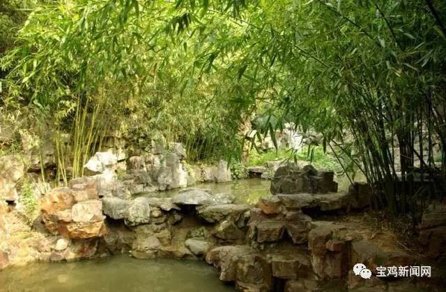 宝鸡到洛阳2日游 (宝鸡到洛阳坐高铁旅游)