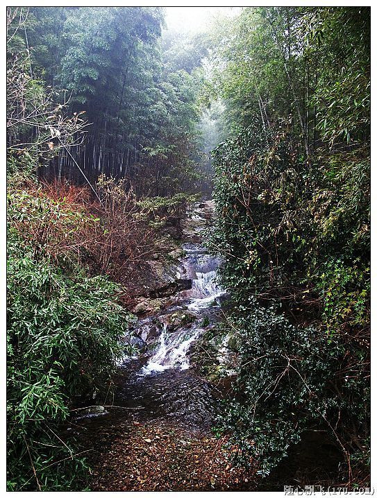 游南山竹海路线,游南山竹海心情说说