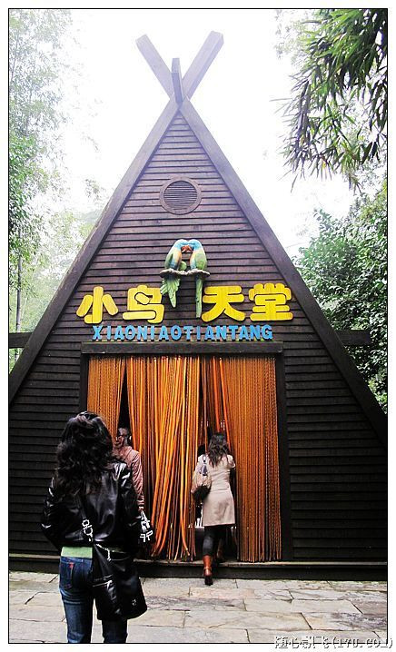 游南山竹海路线,游南山竹海心情说说