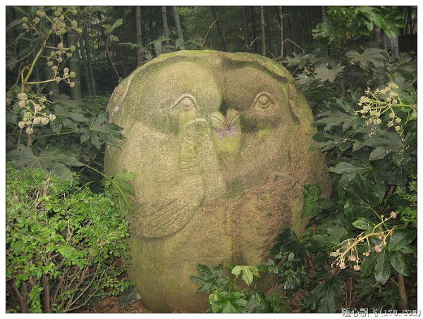 游南山竹海路线,游南山竹海心情说说