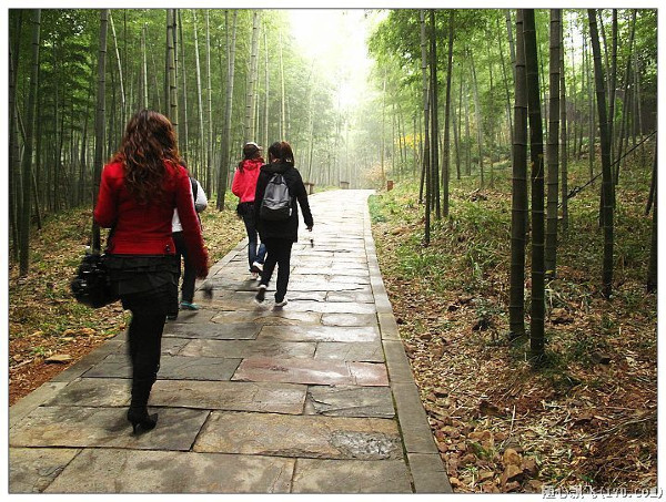 游南山竹海路线,游南山竹海心情说说