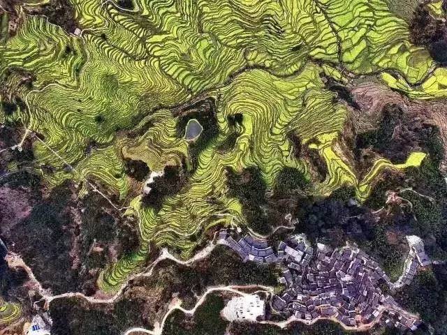 上海高铁到黄山4日游攻略,上海高铁到黄山旅行攻略