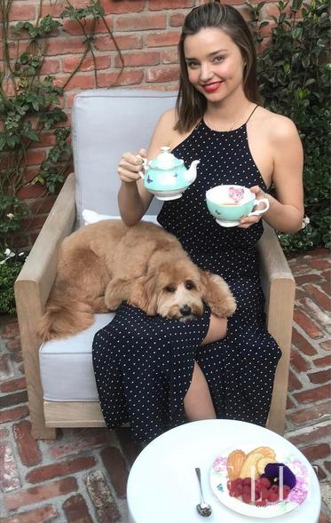 你爱在朋友圈晒包包和自拍,原来女明星也爱干这个,还更牛!