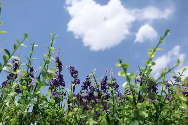 跟着鹿晗去兜风,跟着鹿晗去北京