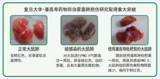 明月几时有,防霾护肺的法子必须有!