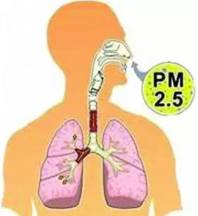 明月几时有,防霾护肺的法子必须有!