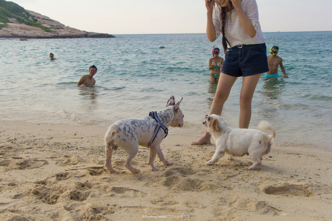 夏日沙滩玩水letsgo,letsgo夏日旅行