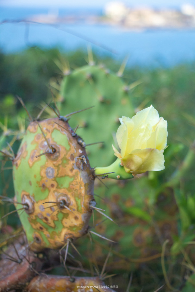 夏日沙滩玩水letsgo,letsgo夏日旅行