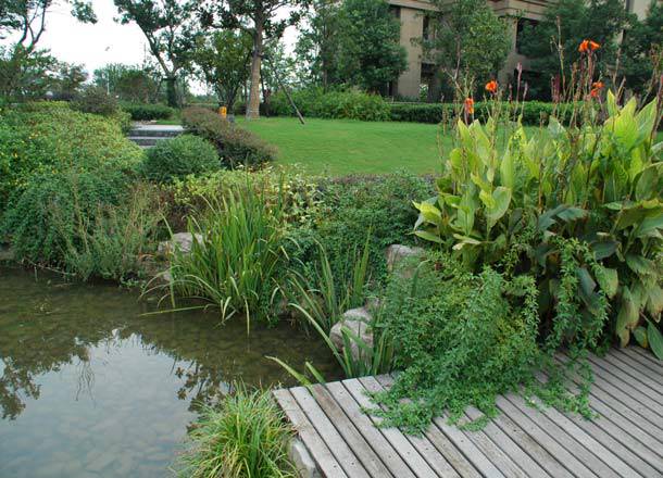 绿城房子为什么细节做的好,绿城的房子越住越有韵味