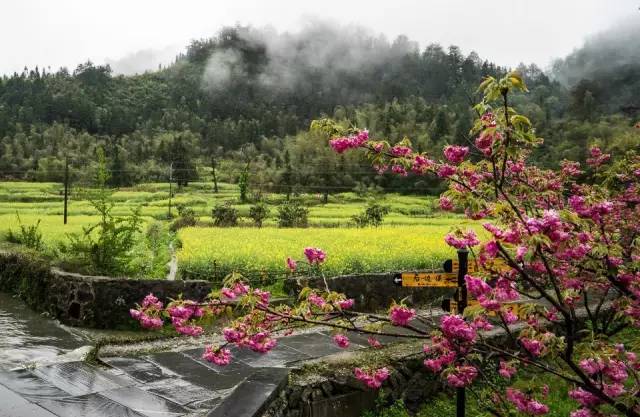 上海高铁到黄山4日游攻略,上海高铁到黄山旅行攻略