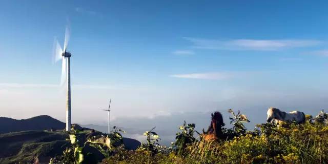 广西是哪个民族的自治区,广西是一个什么样子的省份