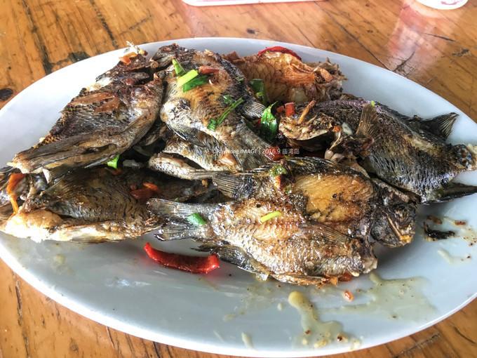 夏日沙滩玩水letsgo,letsgo夏日旅行