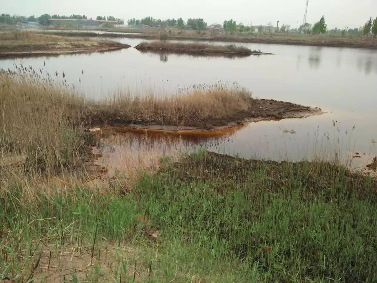天津静海污水渗坑,华北现超级污水渗坑