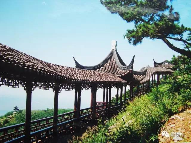 相约春天普洱生茶,青岛石老人景区观光园