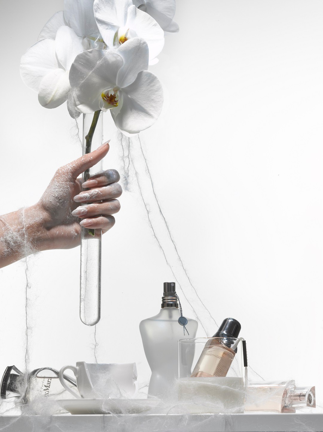 闻到我，记住我，找到我——一场穿梭古今的寻香之旅