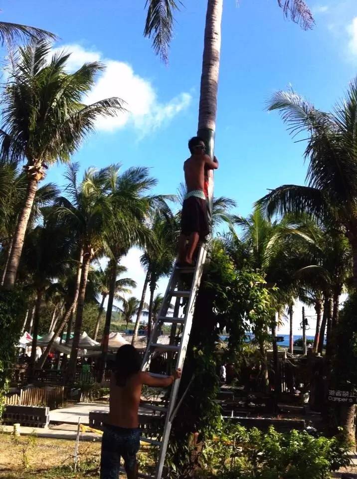 去台湾垦丁从哪出发最划算,垦丁晚上到台北怎么去