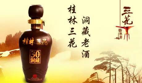 广西是哪个民族的自治区,广西是一个什么样子的省份