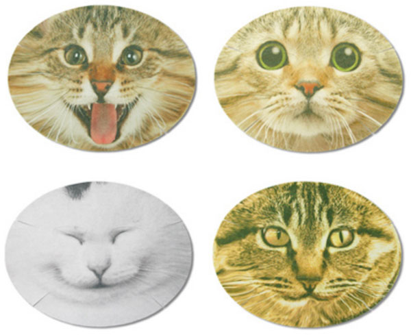 猫脸上的面膜怎么样,猫脸怪的魔法面膜