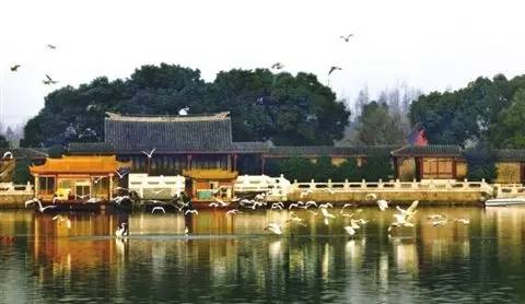 苏州免费景点一日游最佳路线,苏州景区免费景点大全