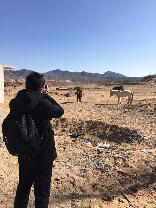 天漠张家口,张家口怀来县天漠