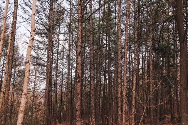 跟着鹿晗去兜风,跟着鹿晗去北京
