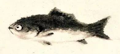 暴走漫画表情高清大图,暴走漫画表情包收纳盒