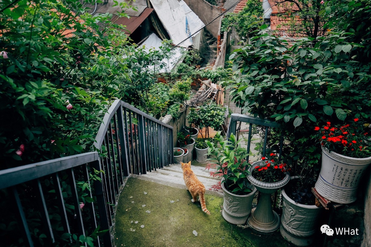 武汉藏在幽静地方的咖啡馆,武汉哪里有小资情调的咖啡厅