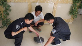 恶意放生鳄鱼的危害,私自放生鳄雀鳝的危害