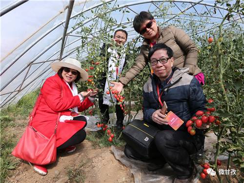 四川的甘孜藏区,四川甘孜的特点