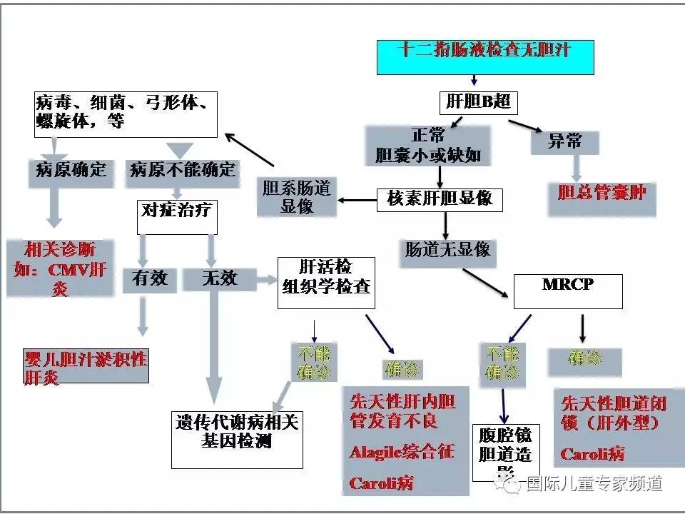 「PPT干货」国际儿童专家频道学术讲座.NO7——浙江大学医学院附属儿童医院消化科，陈洁主任主讲《婴儿胆汁淤积性肝病的诊治》