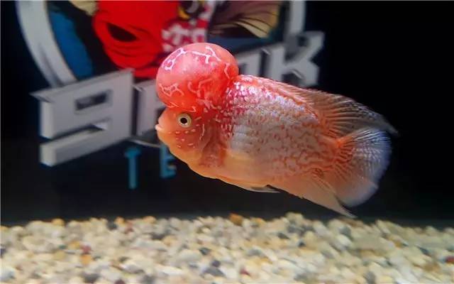 不能再惯着女生了,不能再惯着臭脾气