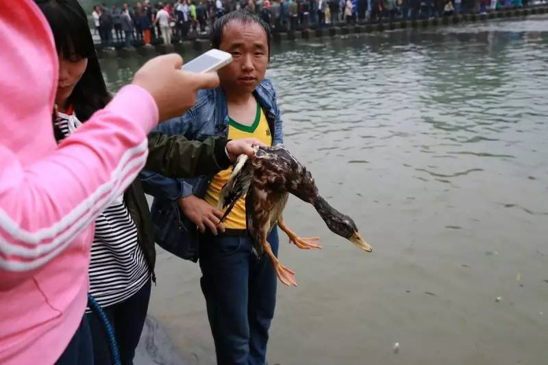 今天“四月八”，吉首坪朗比往年更“火”！