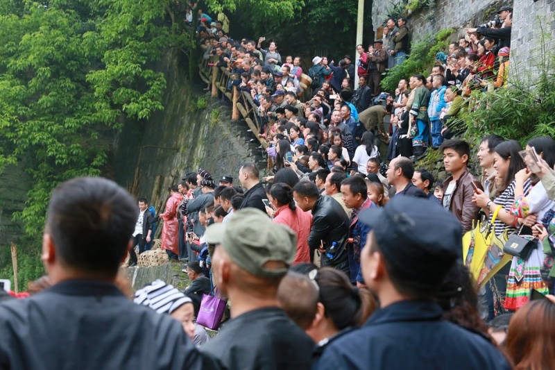 今天“四月八”，吉首坪朗比往年更“火”！