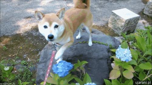 防晒霜别买错了好用的是这3款,别再花冤枉钱了大牌护肤品